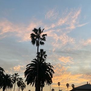 Meet your Posher, Claire